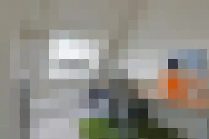 Beitserijstraat 26 Gaanderen thumbnail 55