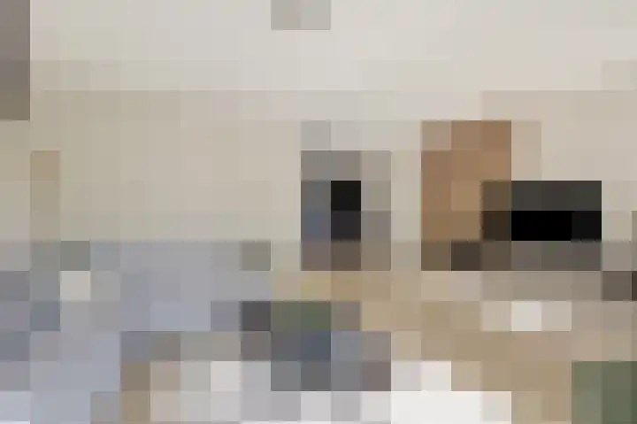 Beitserijstraat 46 Gaanderen thumbnail 11