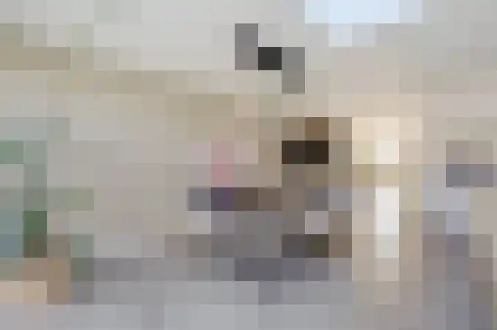 Beitserijstraat 46 Gaanderen thumbnail 16