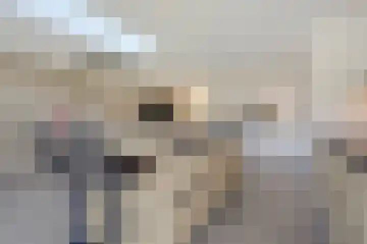 Beitserijstraat 46 Gaanderen thumbnail 18