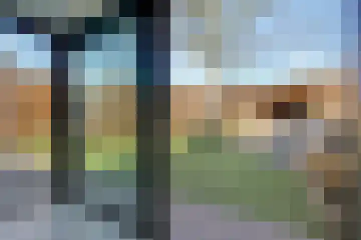 Beitserijstraat 46 Gaanderen thumbnail 21