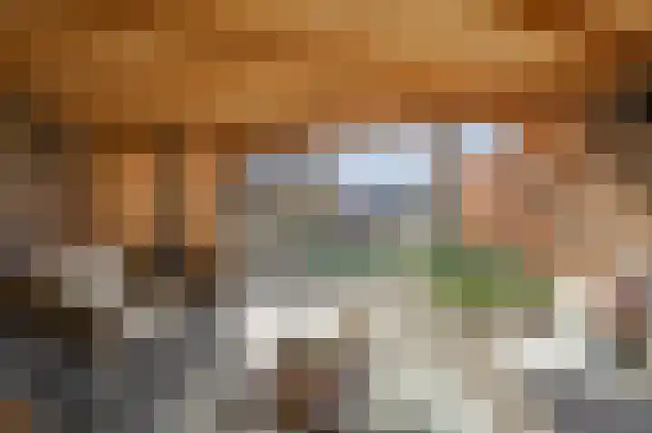 Beitserijstraat 46 Gaanderen thumbnail 29