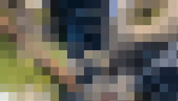 Beitserijstraat 46 Gaanderen thumbnail 33