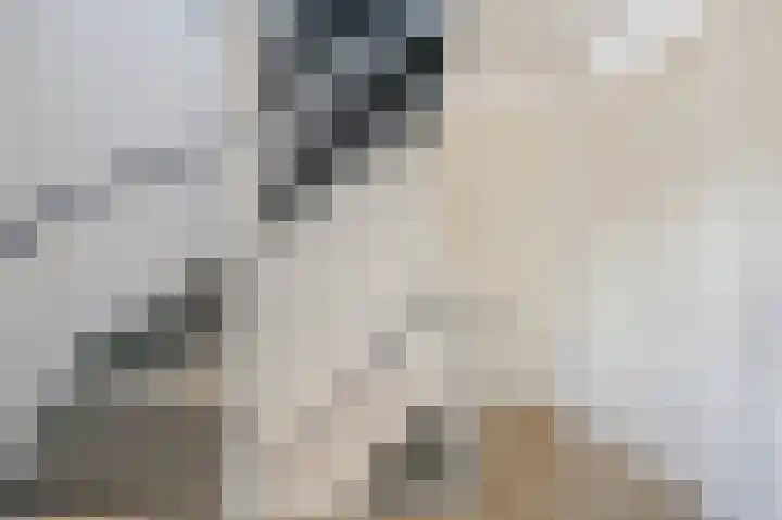 Beitserijstraat 46 Gaanderen thumbnail 51