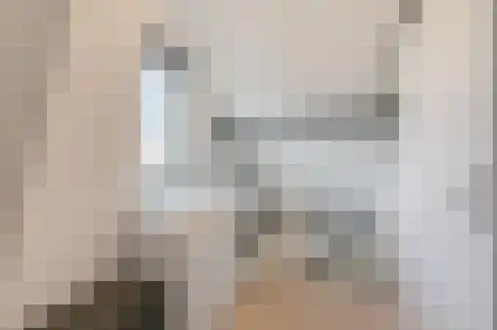 Beitserijstraat 46 Gaanderen thumbnail 52