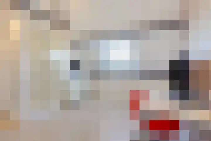 Beitserijstraat 46 Gaanderen thumbnail 55