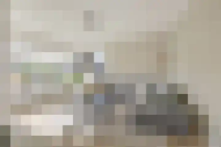 Beitserijstraat 46 Gaanderen thumbnail 8