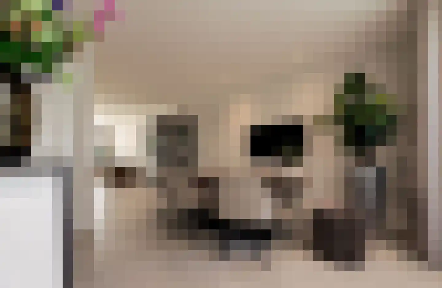 Bekelaar 1 Mierlo thumbnail 12