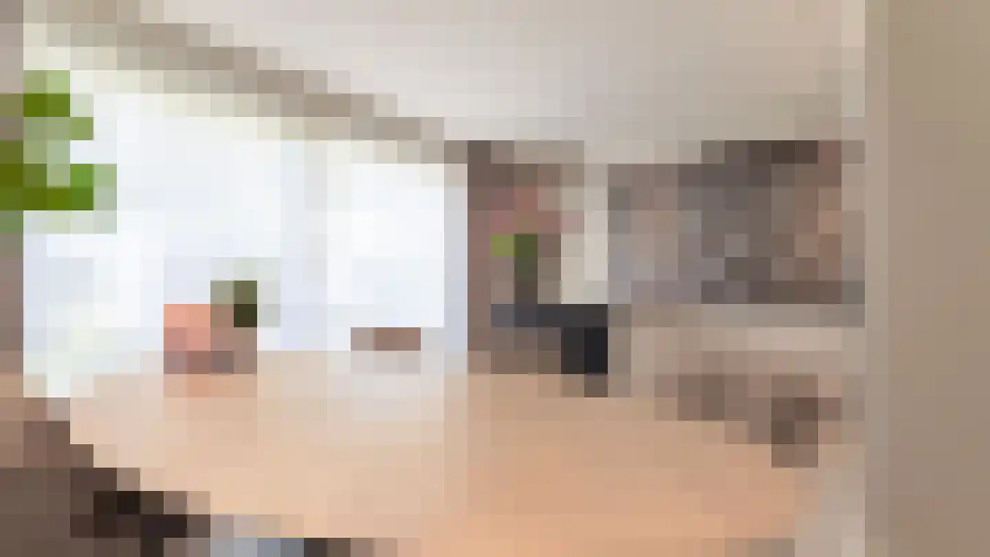 Bekelaar 1 Mierlo thumbnail 13