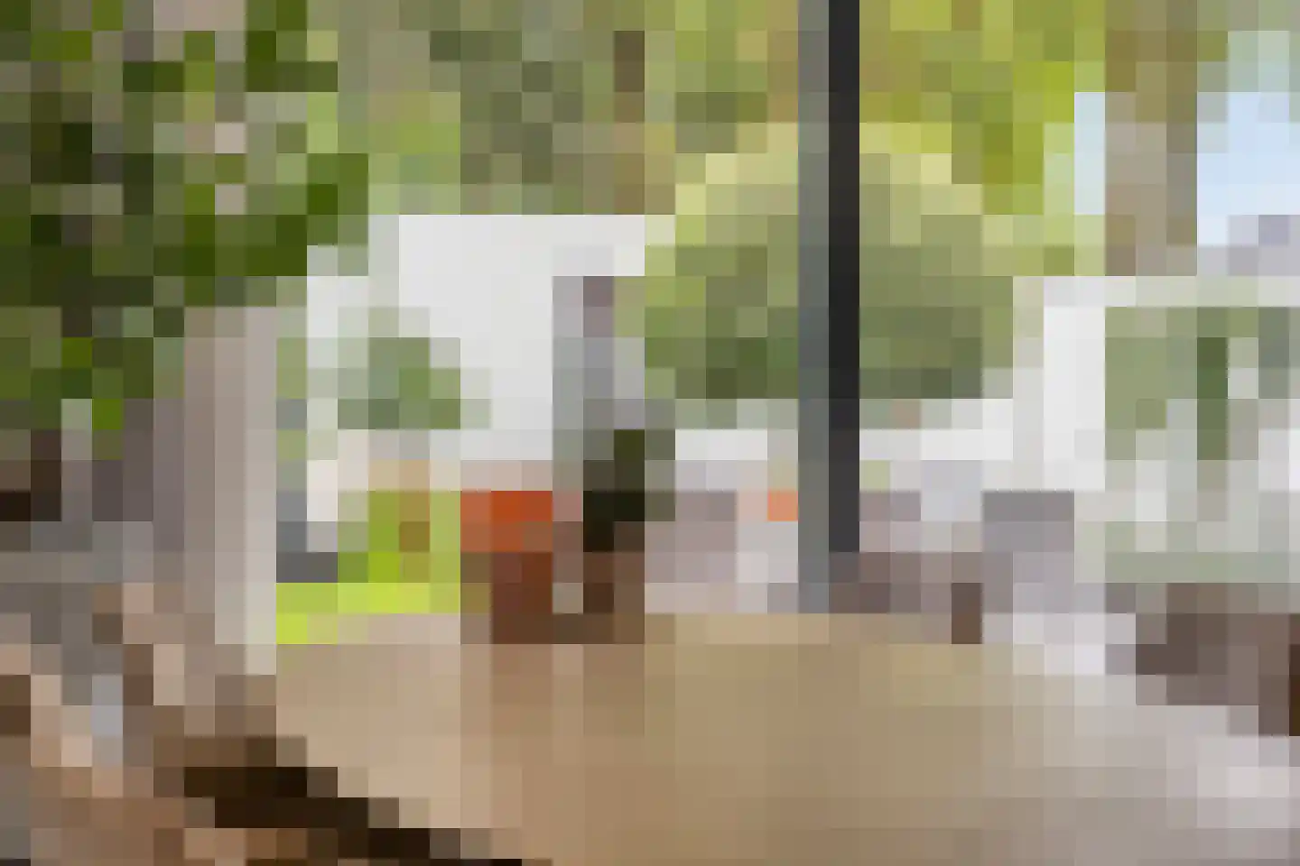 Bekelaar 1 Mierlo thumbnail 14
