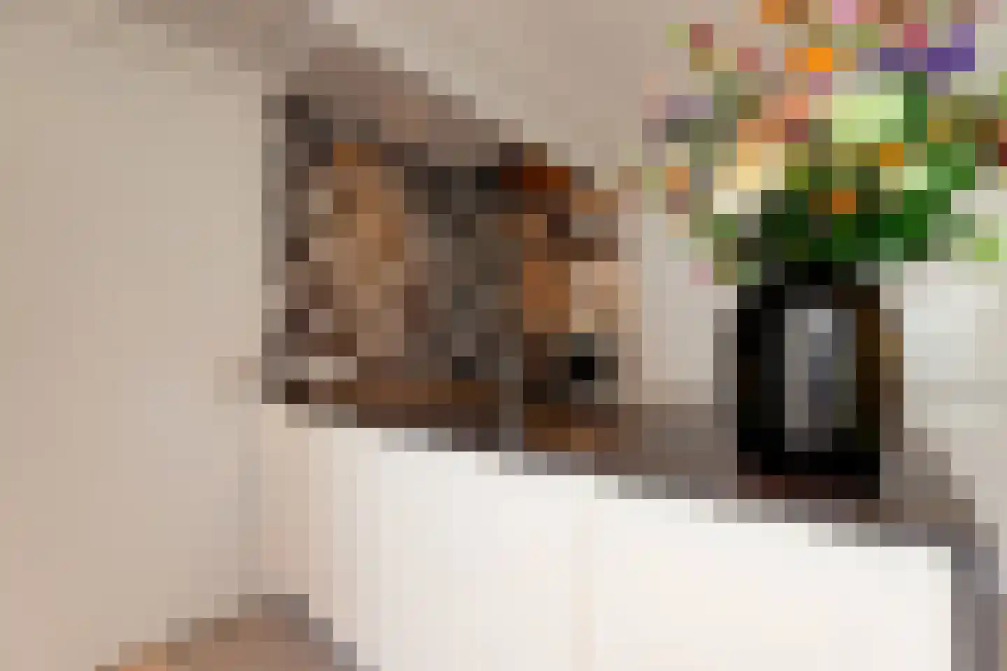 Bekelaar 1 Mierlo thumbnail 16