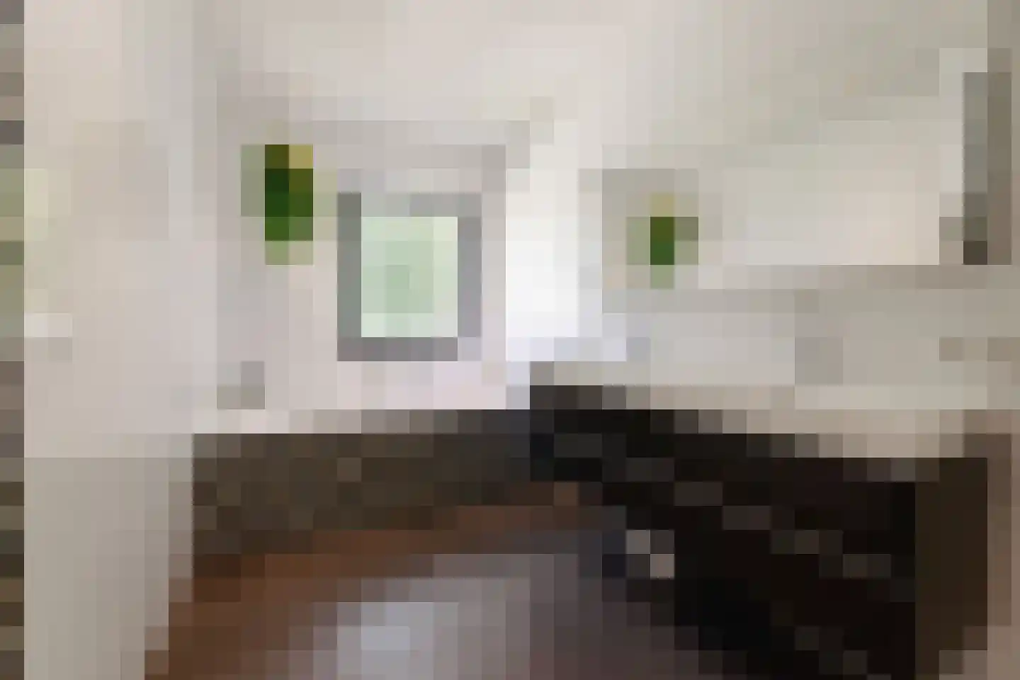 Bekelaar 1 Mierlo thumbnail 25
