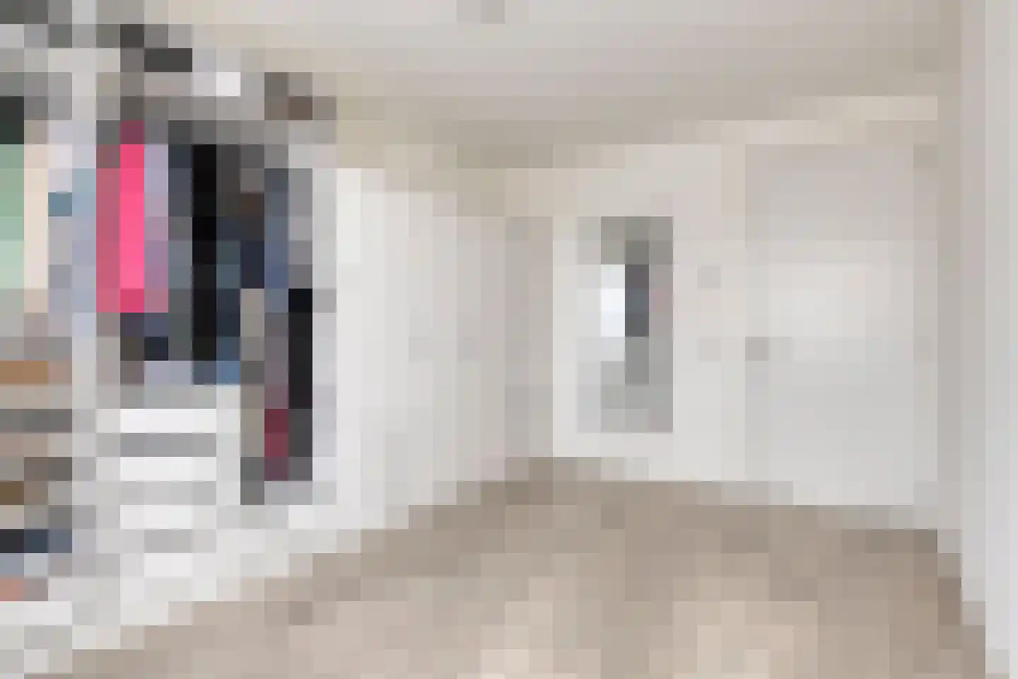 Bekelaar 1 Mierlo thumbnail 29