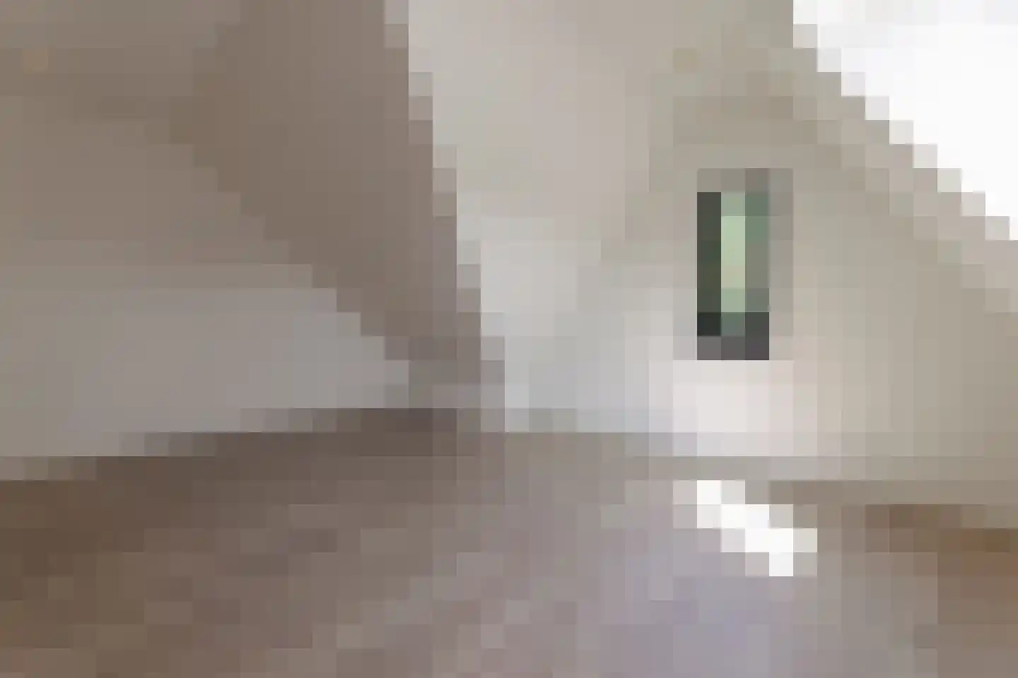 Bekelaar 1 Mierlo thumbnail 32