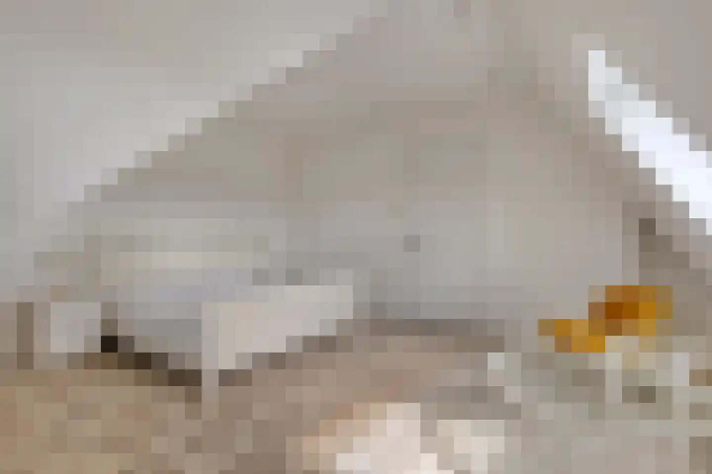 Bekelaar 1 Mierlo thumbnail 33