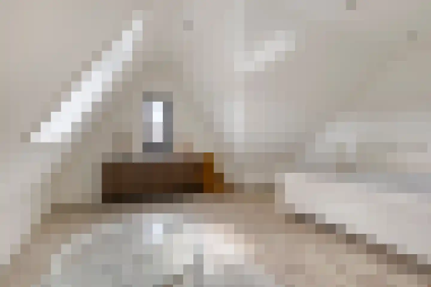 Bekelaar 1 Mierlo thumbnail 34