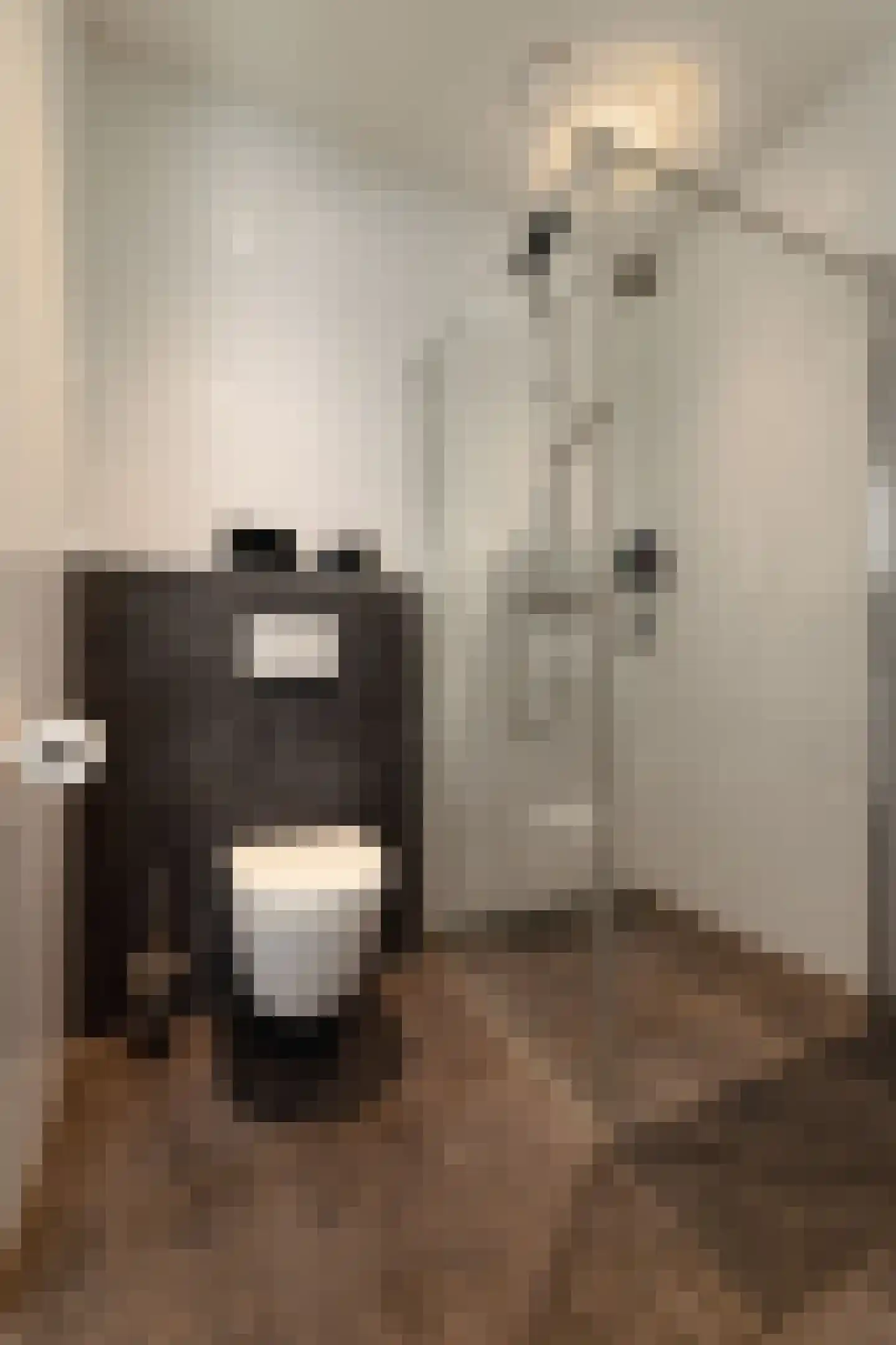 Bekelaar 1 Mierlo thumbnail 36