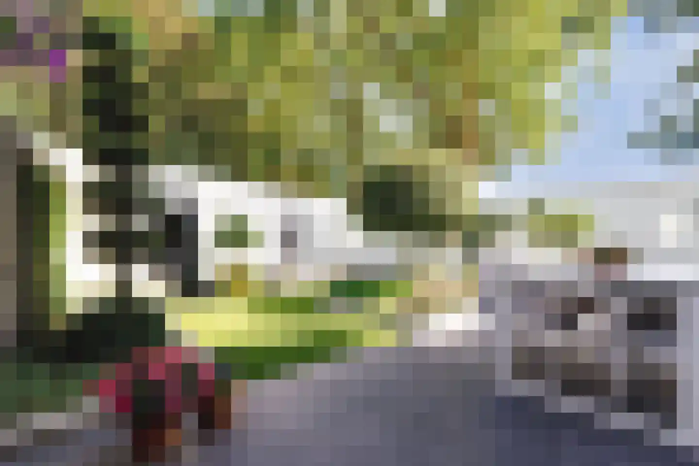 Bekelaar 1 Mierlo thumbnail 38