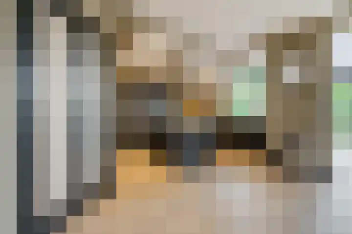 Bekelaar 52 A Mierlo thumbnail 11