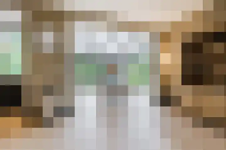 Bekelaar 52 A Mierlo thumbnail 17