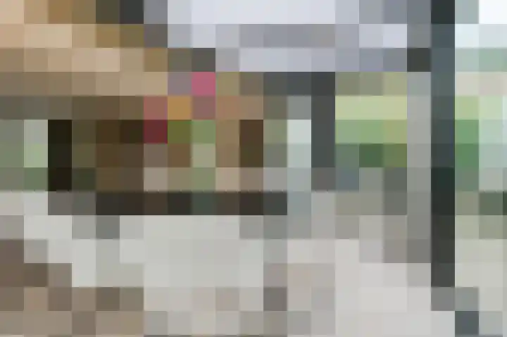 Bekelaar 52 A Mierlo thumbnail 18