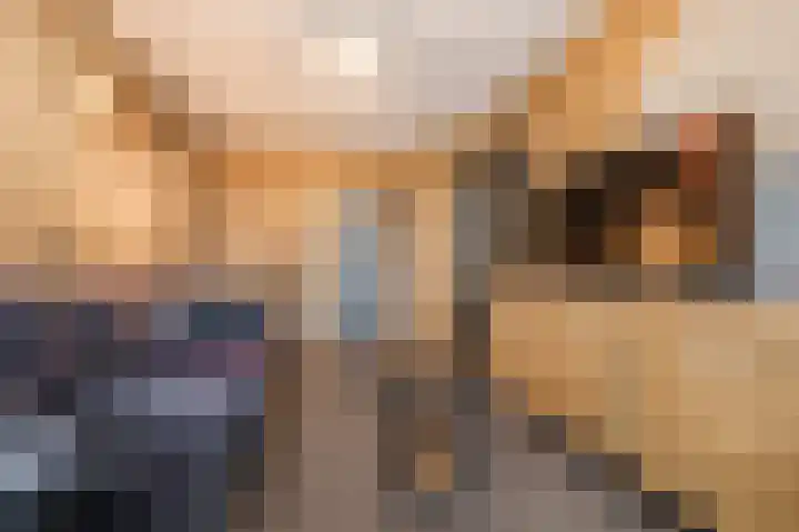 Bekelaar 52 A Mierlo thumbnail 21