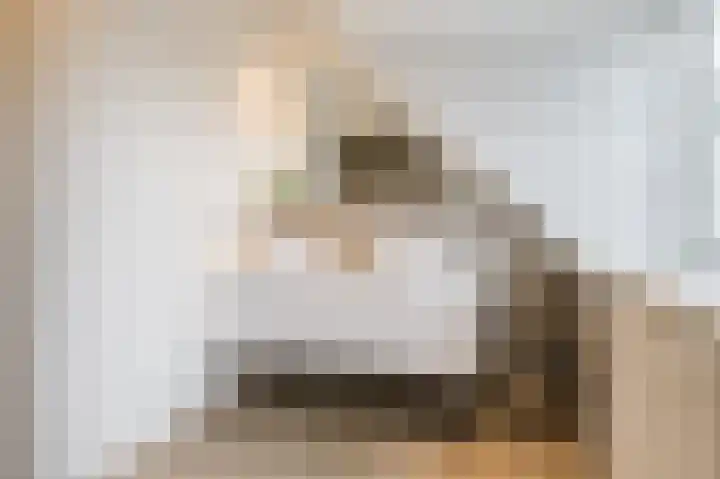 Bekelaar 52 A Mierlo thumbnail 31
