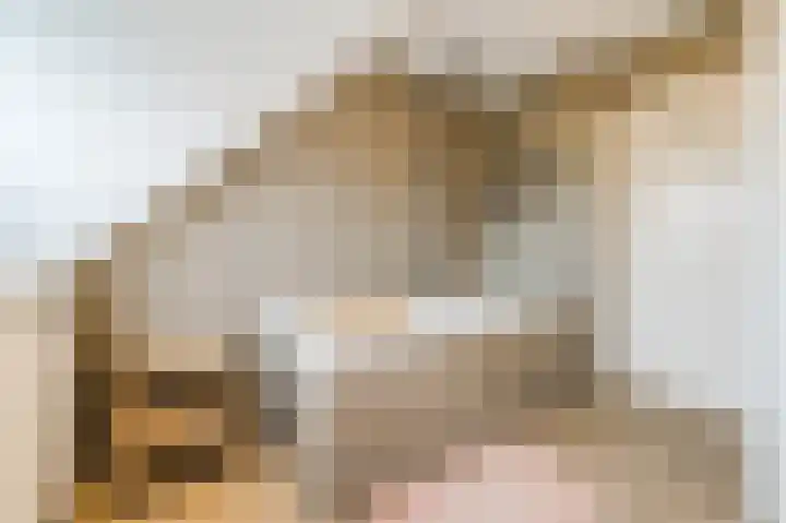 Bekelaar 52 A Mierlo thumbnail 32