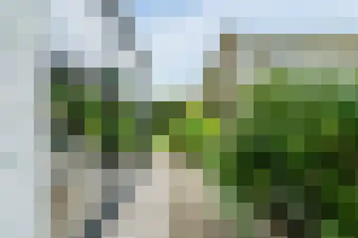 Bekelaar 52 A Mierlo thumbnail 35