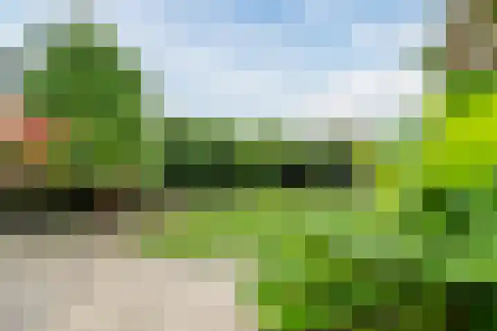 Bekelaar 52 A Mierlo thumbnail 36