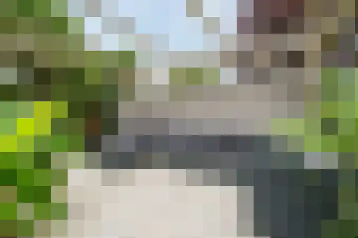 Bekelaar 52 A Mierlo thumbnail 37