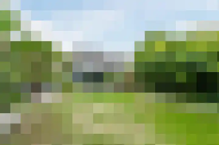 Bekelaar 52 A Mierlo thumbnail 38