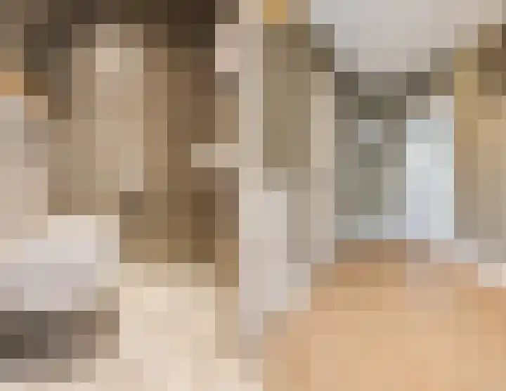 Bekelaar 52 A Mierlo thumbnail 4