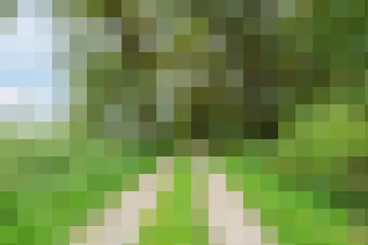 Bekelaar 52 A Mierlo thumbnail 40