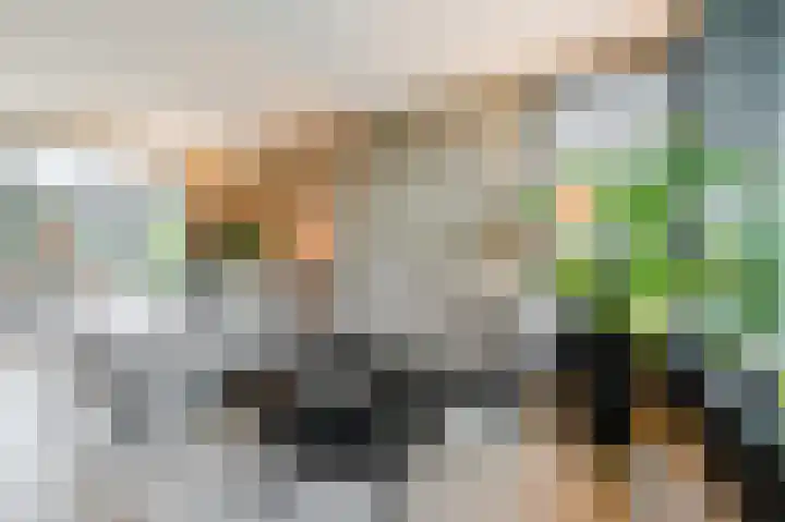 Bekelaar 52 A Mierlo thumbnail 5