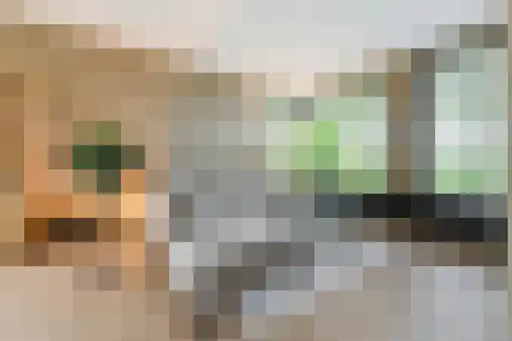 Bekelaar 52 A Mierlo thumbnail 6