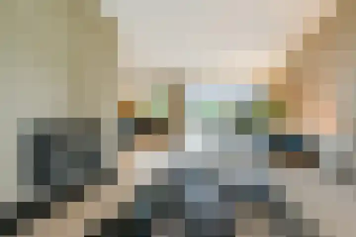 Bekelaar 52 A Mierlo thumbnail 8