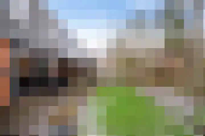 Bekemaheerd 121 Groningen thumbnail 17
