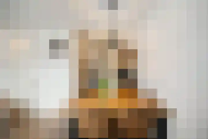 Bekemaheerd 121 Groningen thumbnail 18