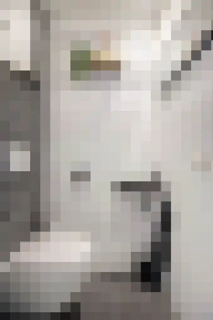 Bekemaheerd 121 Groningen thumbnail 22