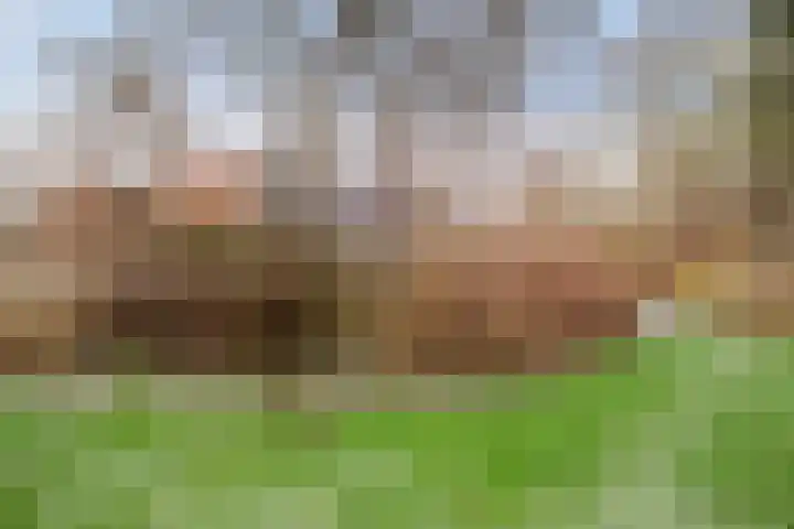 Bekemaheerd 121 Groningen thumbnail 33