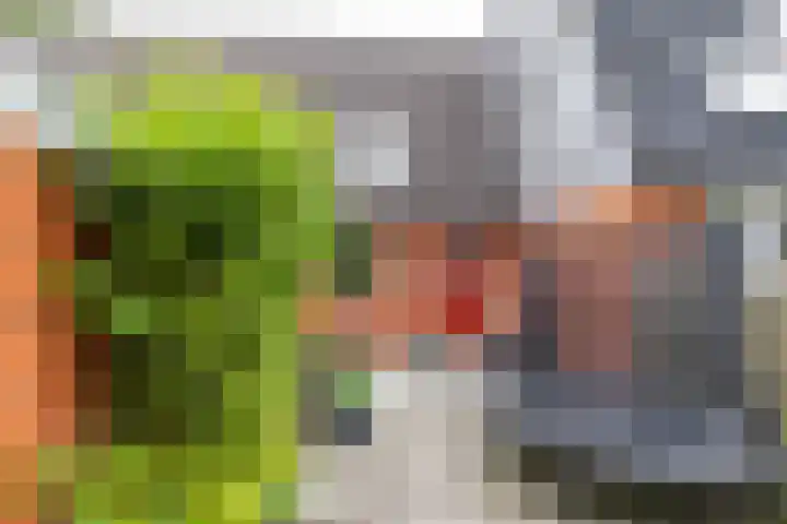 Bekemaheerd 17 in Groningen