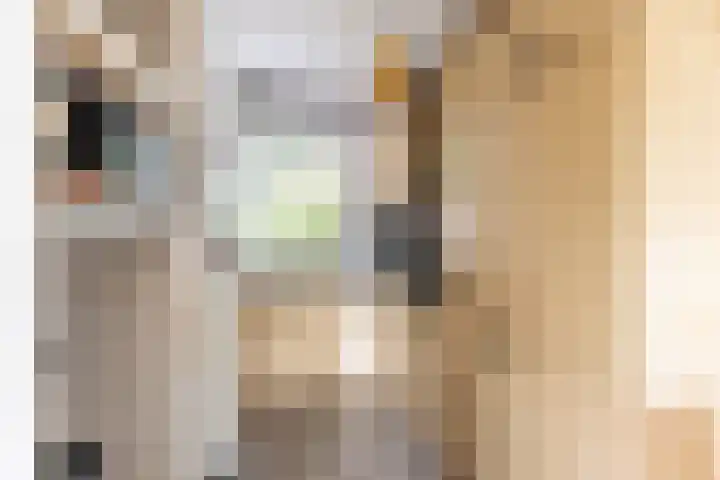 Bekemaheerd 17 Groningen thumbnail 15