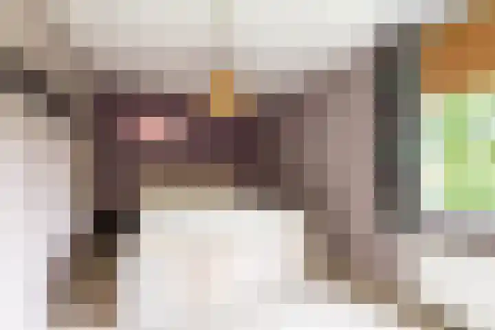 Bekemaheerd 17 Groningen thumbnail 24