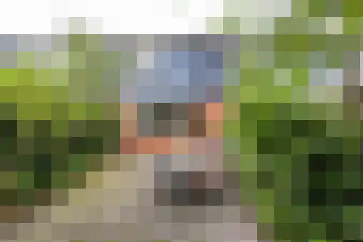Bekemaheerd 17 Groningen thumbnail 30