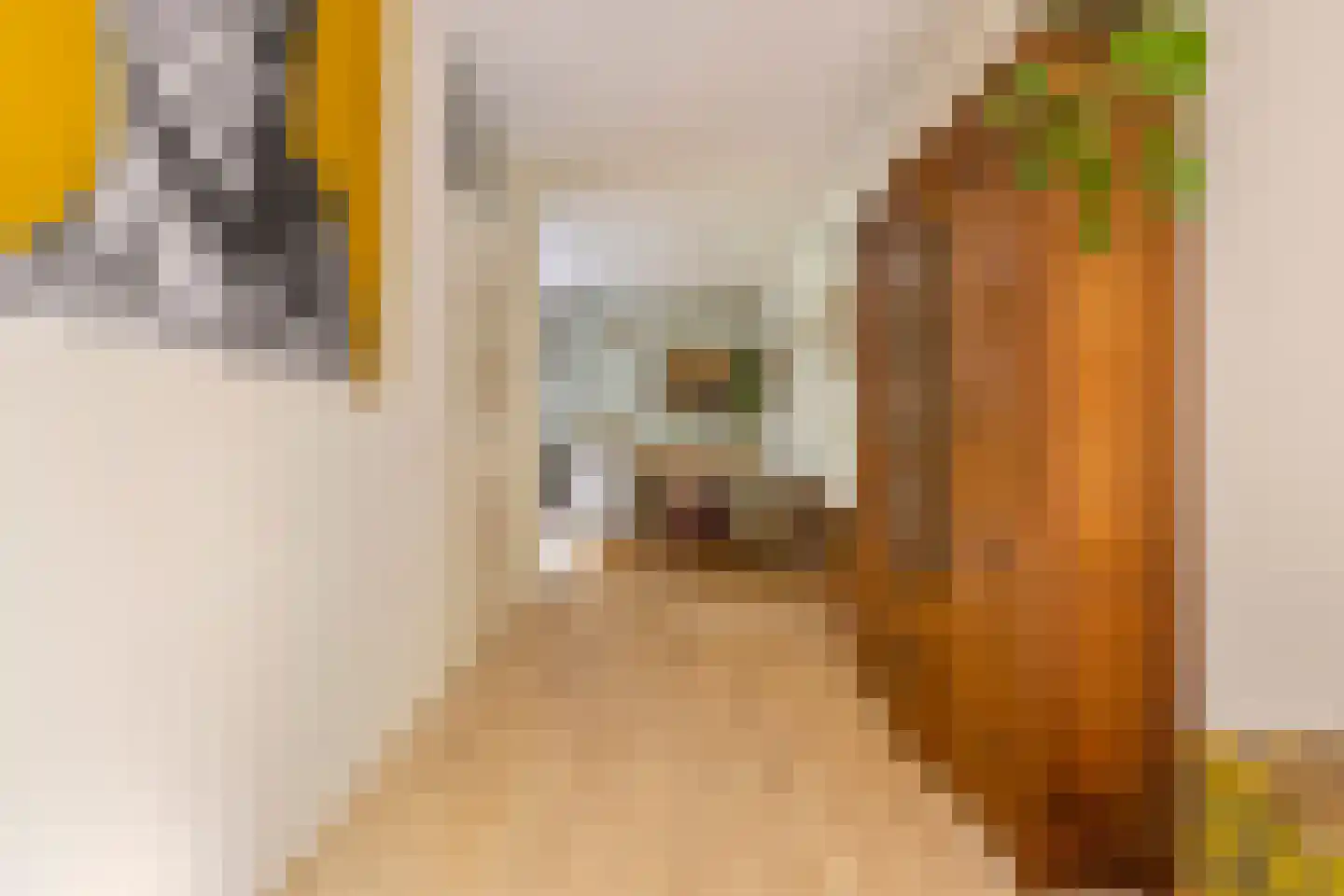 Bekemaheerd 186 Groningen thumbnail 25
