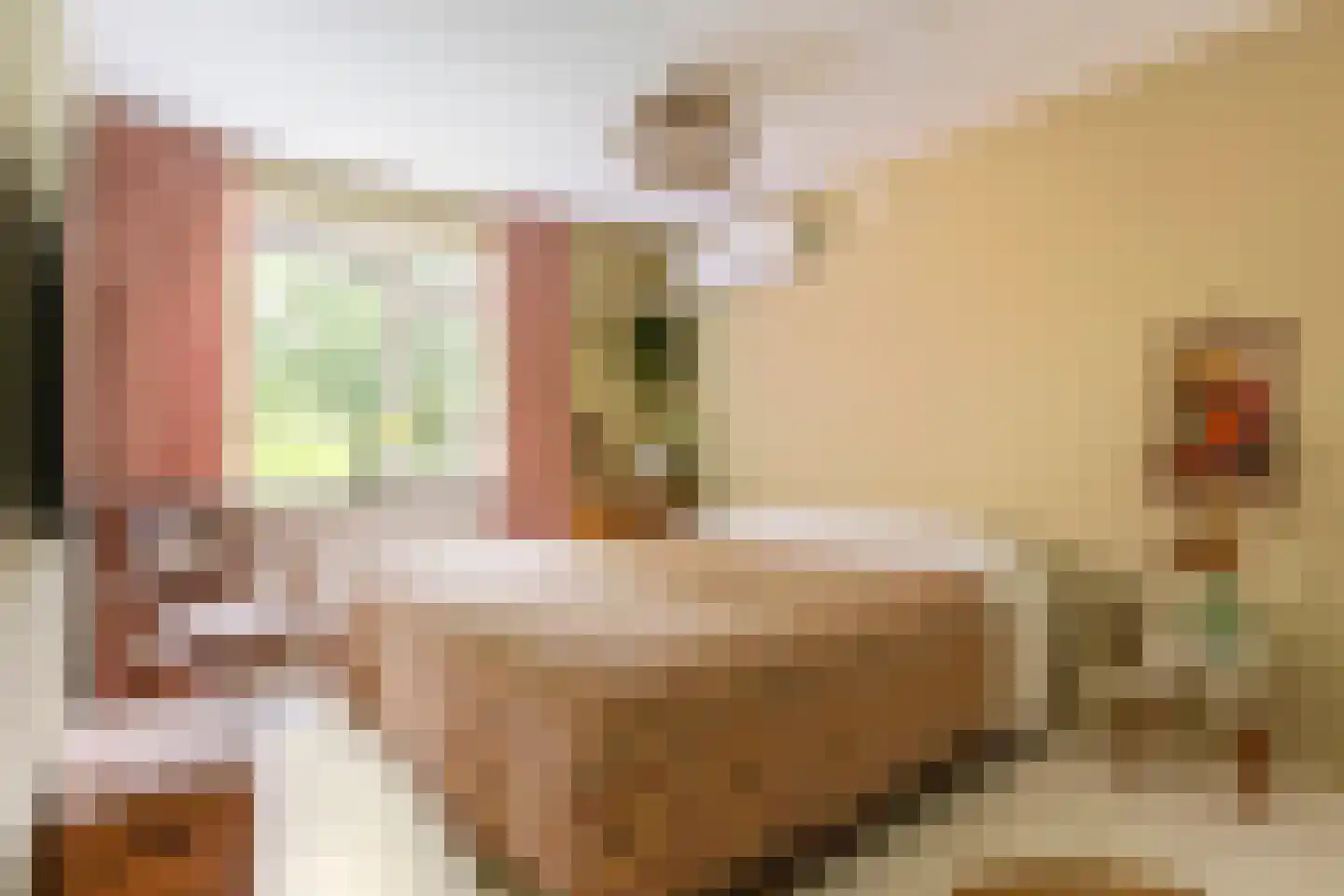 Bekemaheerd 186 Groningen thumbnail 34