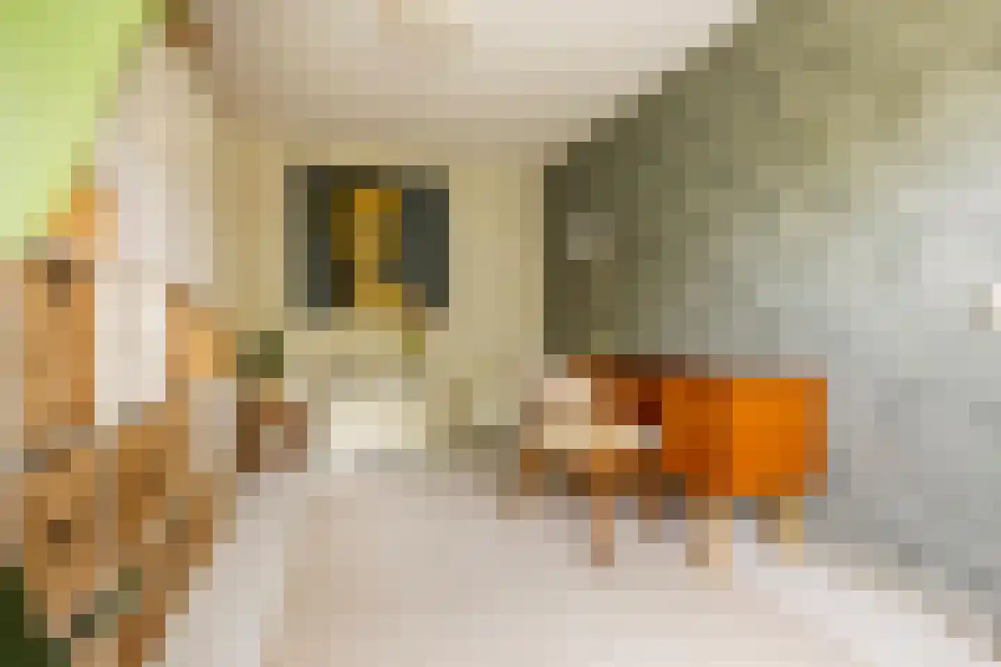 Bekemaheerd 186 Groningen thumbnail 36