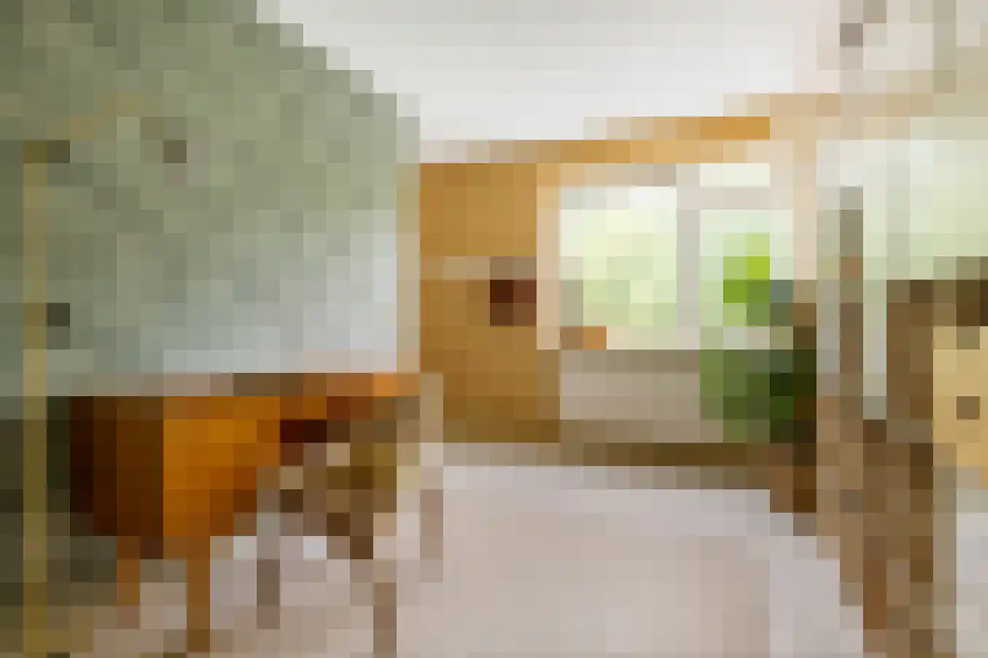 Bekemaheerd 186 Groningen thumbnail 37