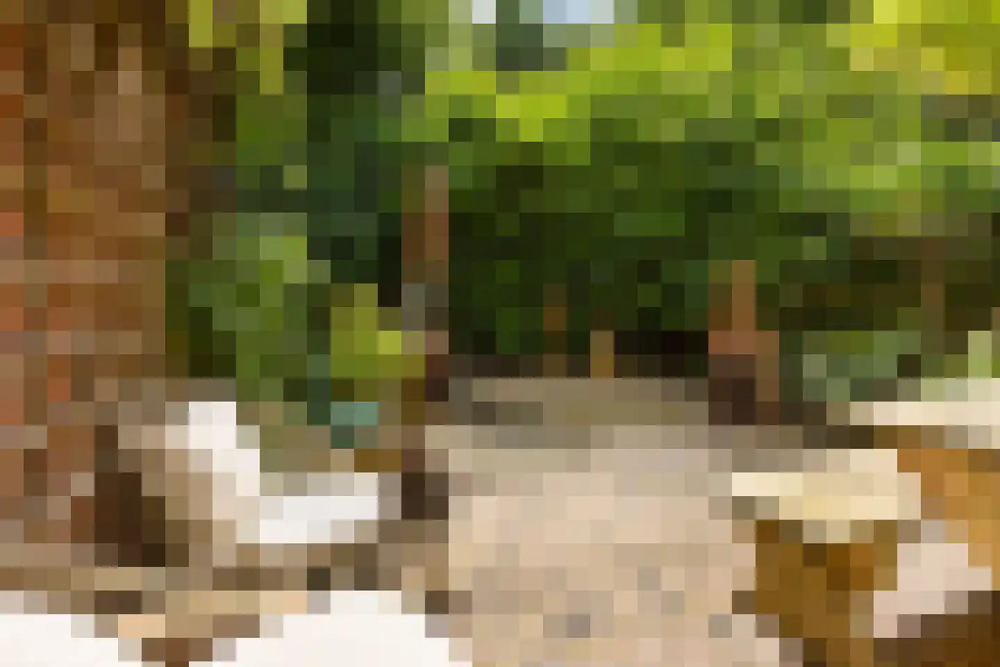 Bekemaheerd 186 Groningen thumbnail 4